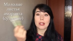 Амарант-растение долголетия