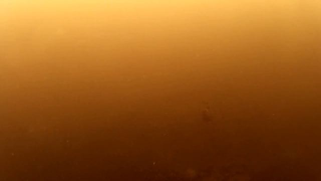 Гибель Химкинского водохранилища. 1 часть КАНАЛ 27.07.2020 года смотреть онлайн