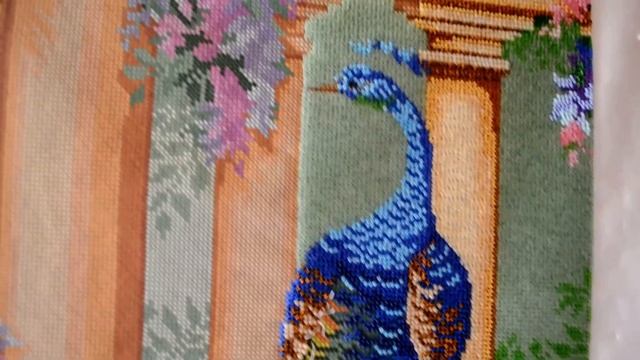 Моя подготовка-отчет по СП "Животные" "Павлин" смотреть онлайн