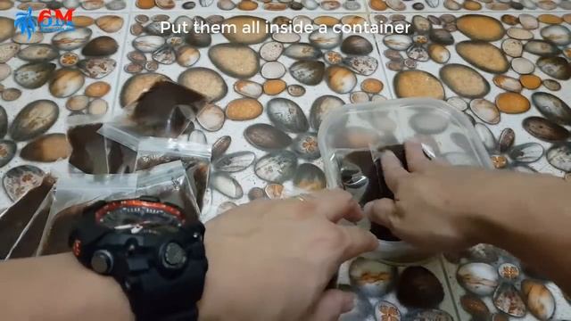 2 Ways to Maintain Tubifex Worms | Tropical fish Live food | Betta Fish смотреть онлайн