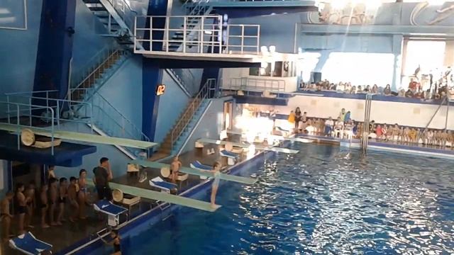 Прыжки в воду. Бассейн Саратов. Солдатик вперед с работой рук. Норматив 2 разряд. Данилова Дарья. смотреть онлайн