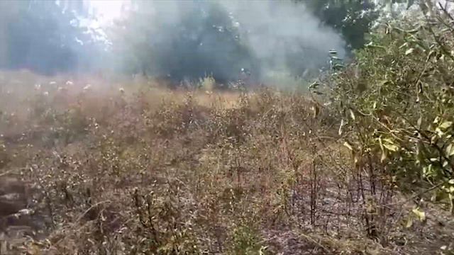 м. Першотравенськ: ліквідовано займання сухої рослинності смотреть онлайн