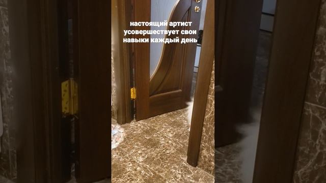 Настоящий артист каждый день репетирует #шпиц#щенки#собакипитомцы#спб# смотреть онлайн