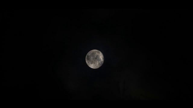 Spooky Music (Royalty Free Music) смотреть онлайн