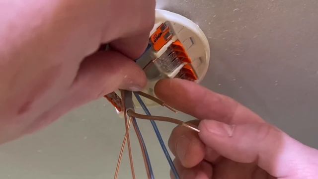 Would you use a WAGO 221 CEILING ROSE? смотреть онлайн