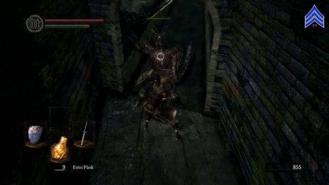 Dark Souls Rings: Red Tearstone, Blue Tearstone, and Havel's смотреть онлайн