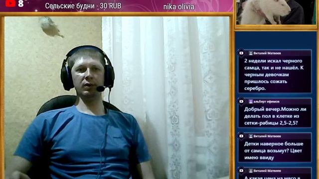 Стрим: поговорим о содержании нутрий смотреть онлайн