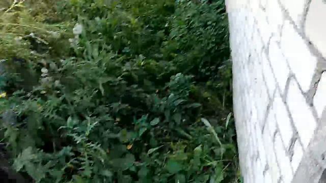 выходные дни в деревне смотреть онлайн