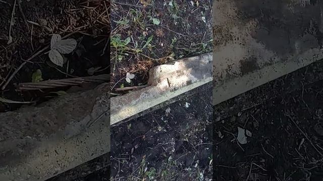Старый фундамент для домика 4*6 смотреть онлайн