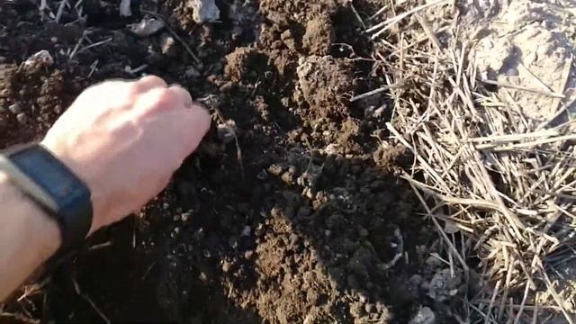 Коп с Minelab E-Trac и катушкой Nel Snake часть 1. смотреть онлайн