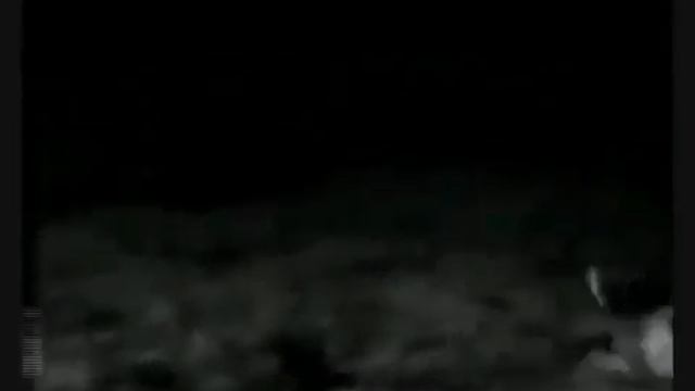 Топ 10 моментов охоты в дикой природе Часть 2 смотреть онлайн