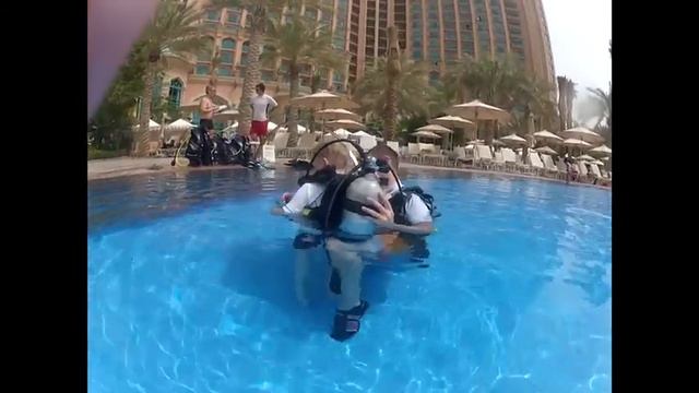 Atlantis Palm Dubai смотреть онлайн