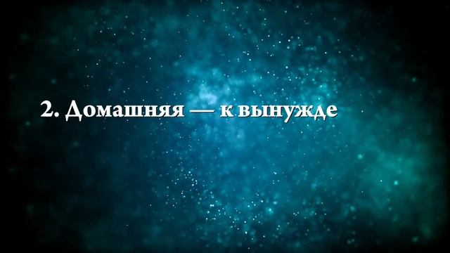 К чему снится, что царапает кошка - Онлайн Сонник Эксперт смотреть онлайн