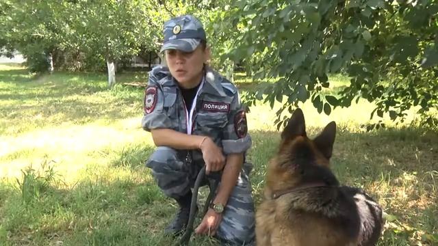 В Республике Крым определили лучшие команды кинологов правоохранительных ведомств смотреть онлайн