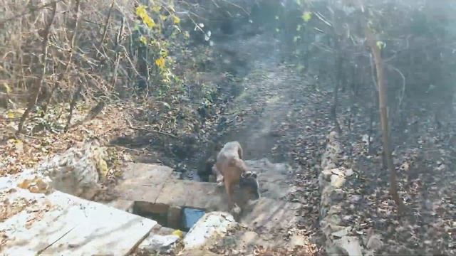 Город затерянный в лесу, Старый Крым смотреть онлайн