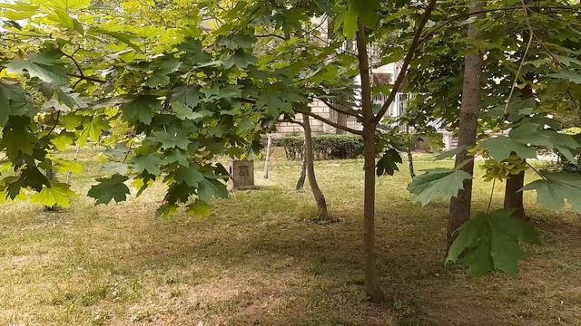 #Ukraine, Odessa /Прогулка по санаторию Аркадия/котики/ зацвела акация смотреть онлайн