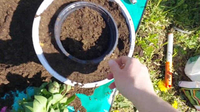 Организация цветника из кашпо// Высадка петунии и лобелии на ПМЖ// 12.05.2023