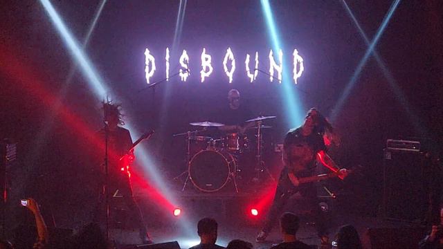 Disbound (18.02.2024) смотреть онлайн