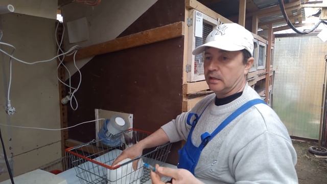 НИКОГДА НЕ ПОЗДНО ДЕЛАТЬ ПРИВИВКИ КРОЛИКАМ И КРОЛЬЧАТАМ разведение кроликов калифорнийской породы смотреть онлайн