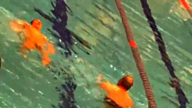 бесплатно зал бассейн детям