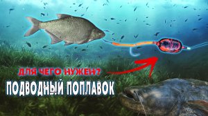 Подводный поплавок на сома. Зачем и когда он нужен