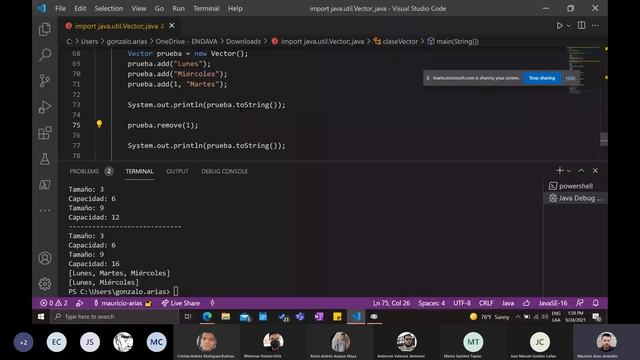 Construcción de Software I - Clase 15 - Vectores redimensionables en Java, clase Vector смотреть онлайн