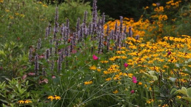 July 2020 Virtual Garden Tour смотреть онлайн