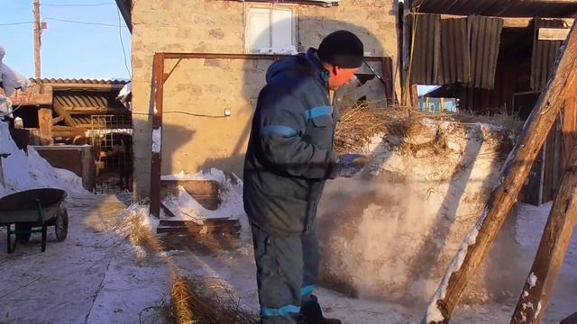 Как поросята на холоде в Сибири зимуют в хозяйстве Бажениты смотреть онлайн