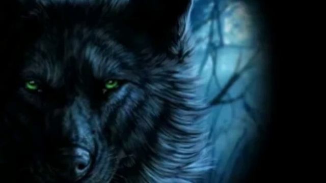 Клип про волков песня день ночь руки прочь смотреть онлайн