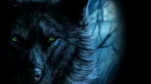 Клип про волков песня день ночь руки прочь