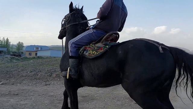Ат сатылат 4-жаш бою 1,70 +- смел:+996507225207 Дареги Аксы баасы келишимдуу. смотреть онлайн