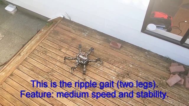 How A Six-Legged Robot Walk - With LX-16A Servo Motor And RaspberryPI