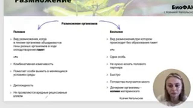 Гаметогенез. Онтогенез смотреть онлайн