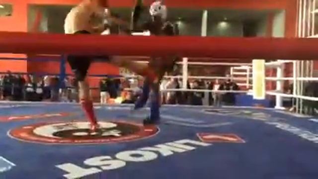 филончик дима против португальца смотреть онлайн