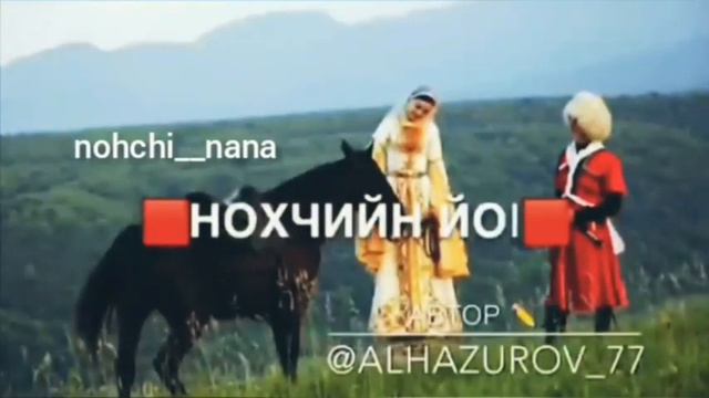 Нохчи йо1