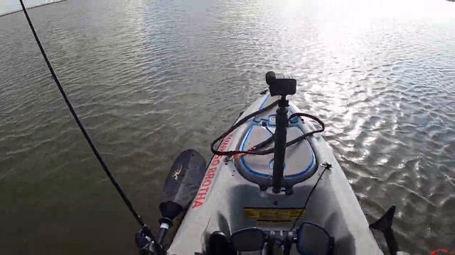 Berkley Gulp Limited Edition Shrimp Lure Fishing in Galveston Texas смотреть онлайн