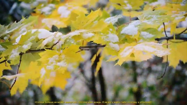 Божественная музыка трогает за душу! Прекрасная музыка для любви! Эту песню можно слушать вечно #4 смотреть онлайн