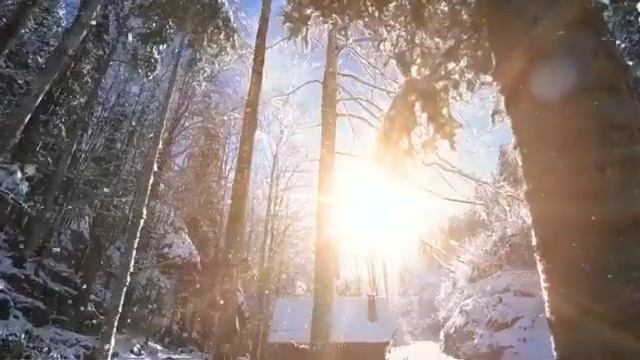 Слово для Служителей. смотреть онлайн