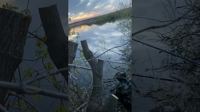 Рыбалка . 12 мая 2022 г смотреть онлайн