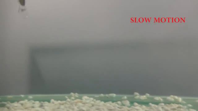 Воблер Akara Top Shad 105F смотреть онлайн