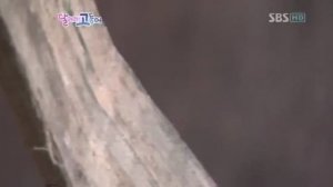 Вперёд, скумбрия, вперёд! 1 сезон 5 серия