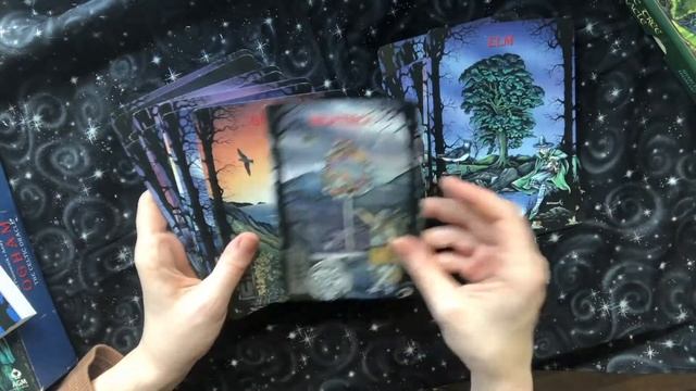 Oracle Cards Flip Through and Review | Ogham Oracle Deck and Celtic Tree Oracle Deck смотреть онлайн