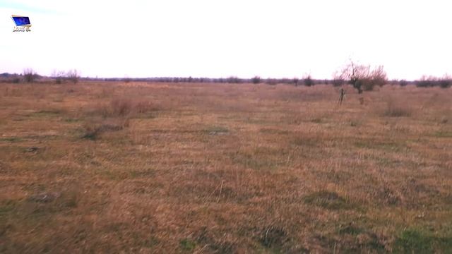 ЭКСПЕРИМЕНТ: ЧТО БУДЕТ ЕСЛИ ПОДЖЕЧЬ САЛЮТ ВВЕРХ ДНОМ? смотреть онлайн