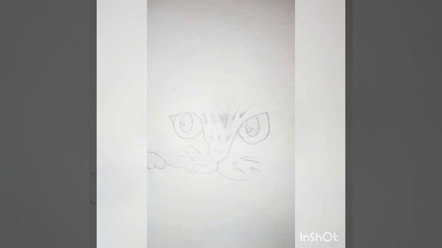 Как нарисовать кота карандашом смотреть онлайн