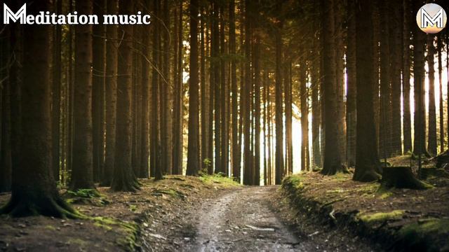 15 minutes Sleeping Music | Meditation music | Relaxing music | Music for good sleep смотреть онлайн