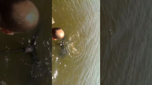 Игорек тянет амура.Три карася.Одесса 1 смотреть онлайн