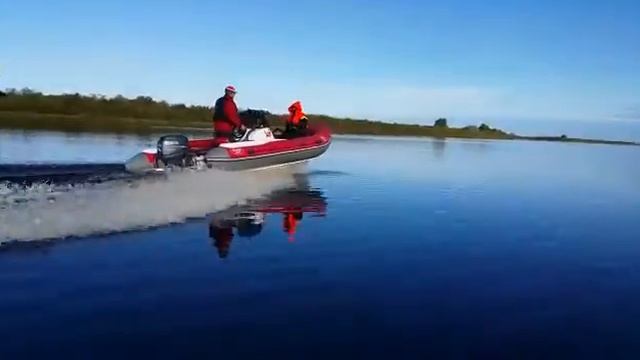 Лодка РИБ 490 КАТ Фортис на Рыбалке смотреть онлайн