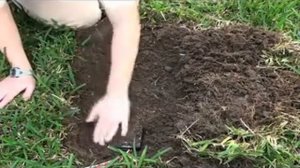 Установка тензиометра