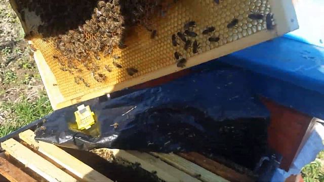 2 дня и матка подсажена ))) смотреть онлайн