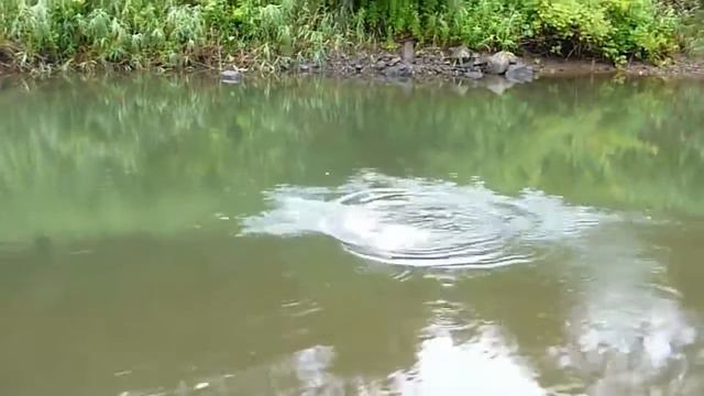 Василич и ленок на двушку x264 смотреть онлайн